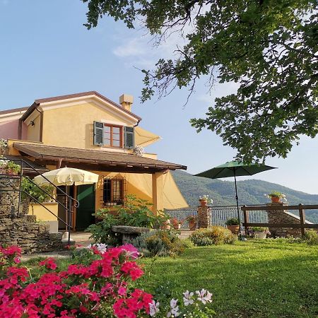 Elsa House Bed & Breakfast Mezzanego Ngoại thất bức ảnh