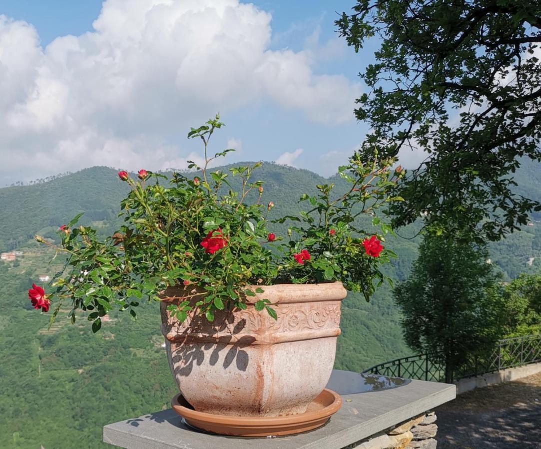 Elsa House Bed & Breakfast Mezzanego Ngoại thất bức ảnh